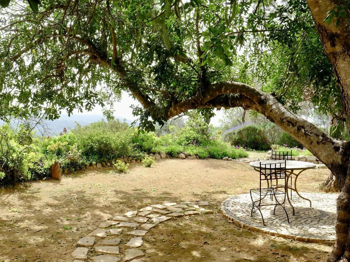 Delightful Authentic Quinta With Swimming Pool Villa Loule